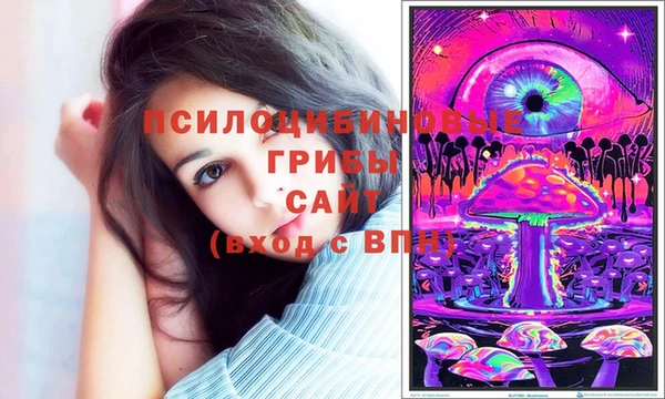 СК Абдулино