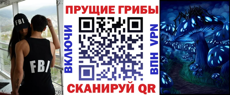 дарк нет Telegram kraken маркетплейс Пудож Псилоцибиновые грибы Cubensis
